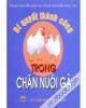 Bí quyết thành công trong chăn nuôi gà
