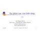 Sự phân cực của ánh sáng