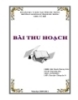Đề tài: Quản lý thư viện