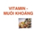 VITAMIN MUỐI KHOÁNG