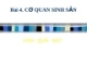 Cơ quan sinh sản hoa quả hạt
