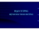 ĐẠI CƯƠNG BỆNH ĐÁI THÁO ĐƯỜNG
