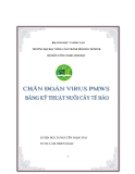 Tiểu luận:Chuẩn đoán virut PMWS bằng kỹ thuật nuôi cấy tế bào