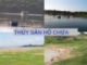 THỦY SẢN HỒ CHỨA