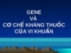 GENE VÀ CƠ CHẾ KHÁNG THUỐC CỦA VI KHUẨN
