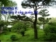 Chương 4. Bảo tồn ở cấp quần xã