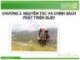 Bài giảng Du lịch bền vững (Sustainable tourism) - Chương 2: Nguyên tắc và chính sách phát triển du lịch bền vững